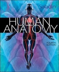 Image of Human anatomy  [Edisi 4]